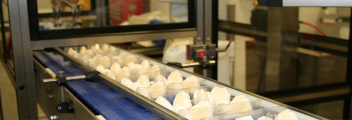 Ultrasonic Slicing